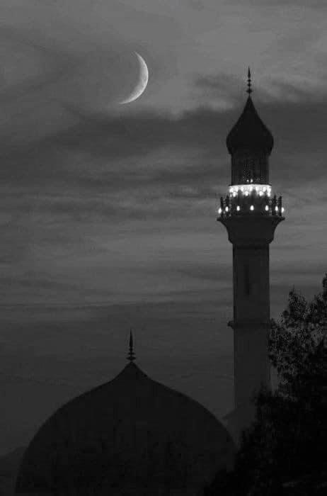 #madina #masjidnabawi #prophetmuhammad #islam #islamicreminders #durood #photography #muslim #photography #photooftheday #photo #islamicaesthetic #mosque #beauty #photooftheday #photo #picoftheday #picture